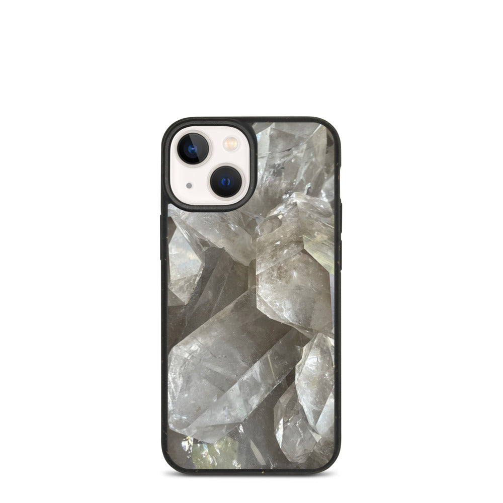 Crystalline Knowledge Biodegradable phone case